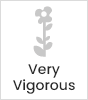 Very vigorous