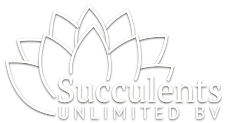 succulents unlimited wit