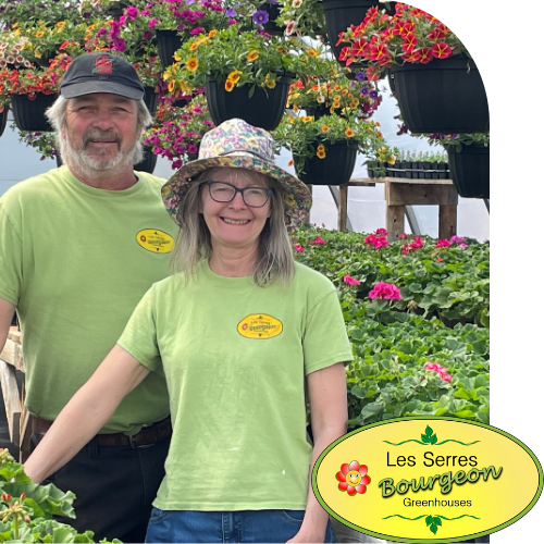 Sans titre 500 x 500 px 1