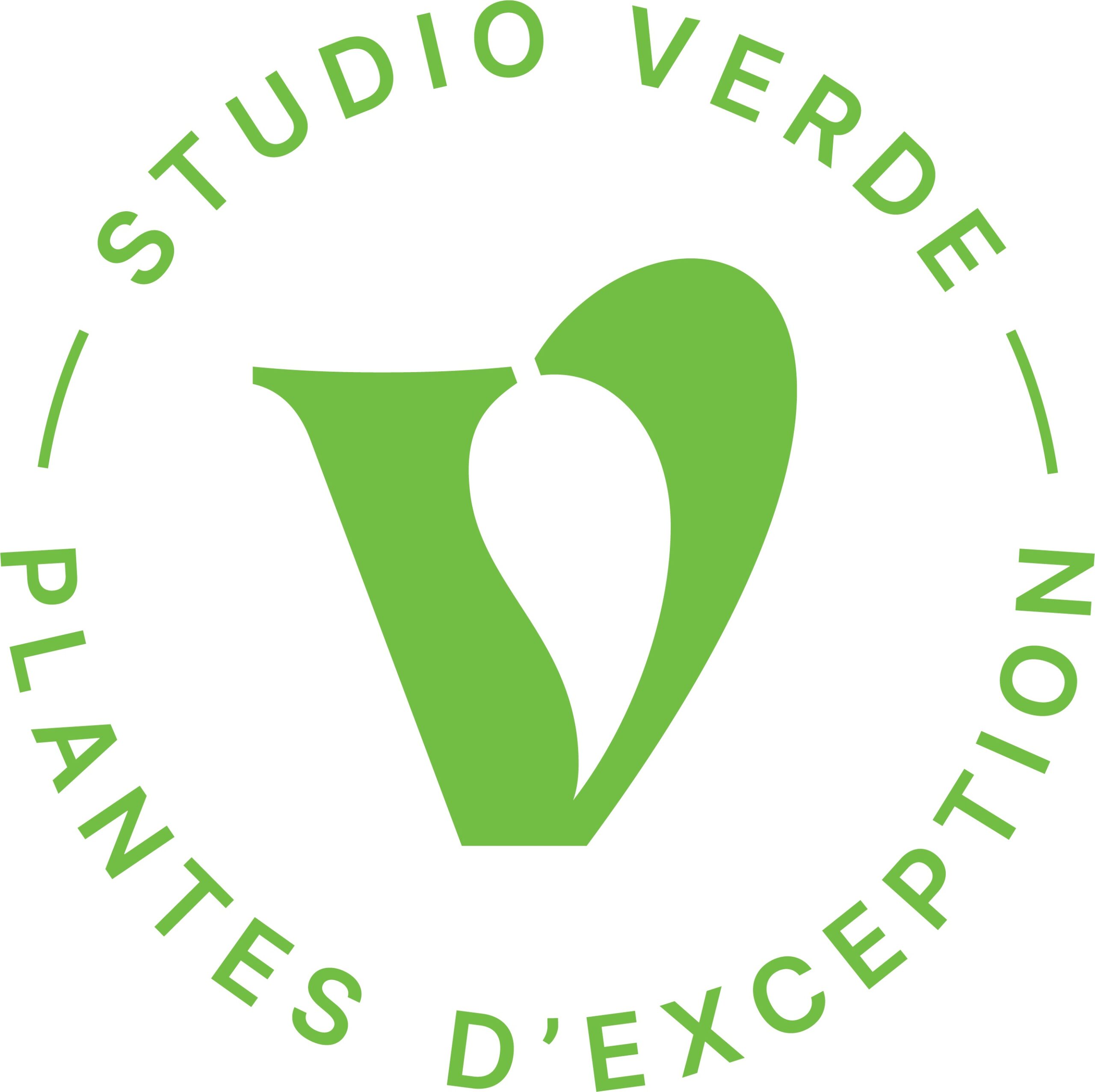 studio verde rond scaled